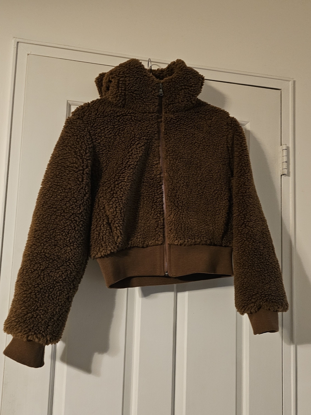 Aritzia Brown Teddy Sherpa Zip Jacket